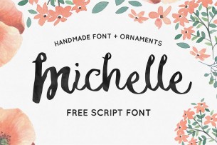 Michelle is a beautifully created script font that brought to you by hand lettering master, Noe Araujo. This font also comes with bonus ornament font.