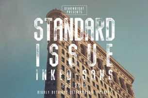 Standard Issue typeface is a hexagonal sans designed to mimic old inky printing works. It comes with 3 weights and you can download the free demo of the font.