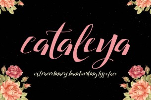 Cataleya is an elegant, presentational but less readable handwriting style font that is free to download. The font fits perfectly for many design applications especially wedding invitation cards, feminine designs and more.