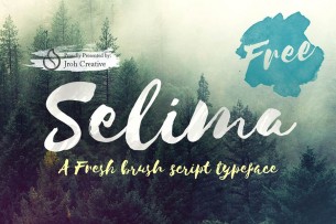 To celebrate the first anniversary in Creative Market, Jroh Creative released Selima, a beautiful hand drawn font with brush for free.