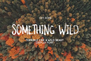 Something Wild is a handwritten brush font that is free to download. It has only uppercases, and the letters are condensed and tall, with features of roughness of brush strokes.