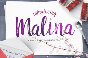 This week's free goodies from Creative Market features good looking Malina Brush Font. It's a hand brushed font with dry ink brush.