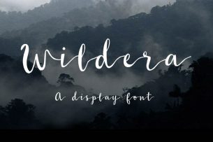 Wildera is a free calligraphy font by illustrator Lauren Lee, based off her calligraphy project on Instagram.