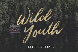 Wild Youth is a hand drawn brush font that is free to download. The characters of the font are fluidic, expressing the freedom and excitement of outdoor adventures.