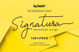 Signatura Monoline is an elegant script typeface that is true to natural human handwriting.
