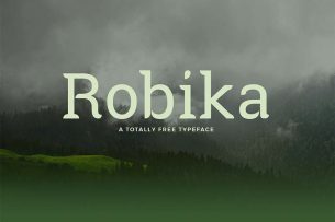 Robika is a gorgeous serif typeface with designer finished.