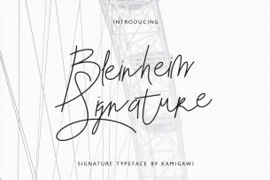 Bleinheim Signature is a truly unique signature style handwriting font.