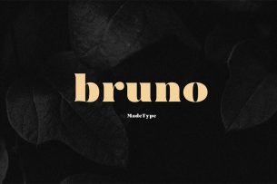 Bruno is a modern classic serif typeface great for fashion related designs.