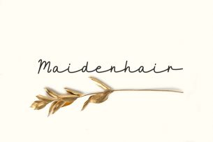 Maidenhair is a free monoline script font with a natural and stylish flow.